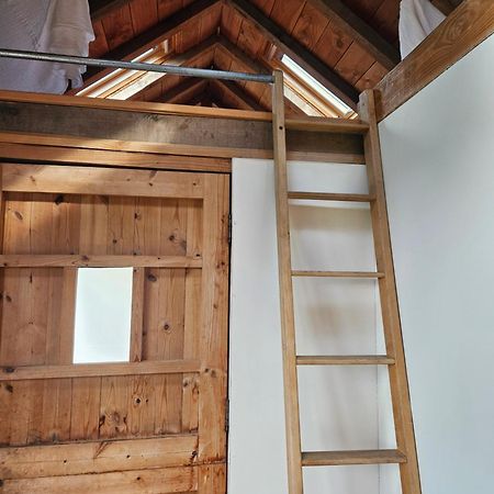 Log Cabin At The Old Summer Dairy Glastonbury 萨默顿 外观 照片